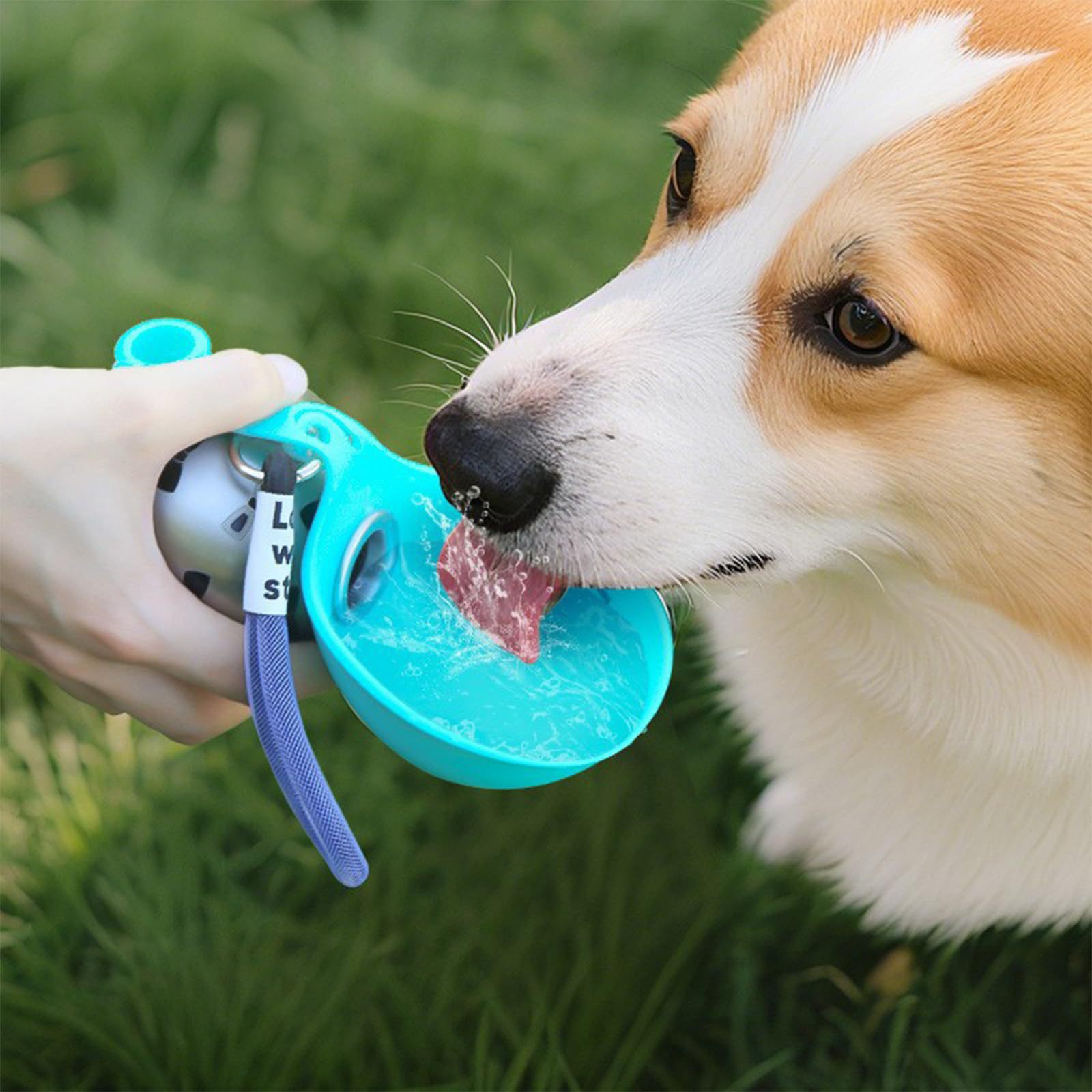 Pet Feeders - ACG Goods Portable Silicone Pet Water