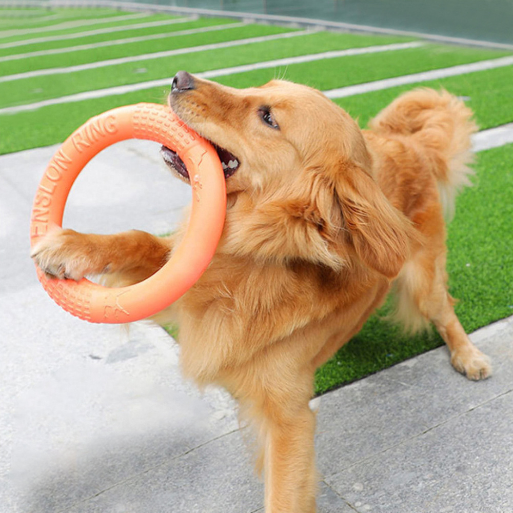 1pc Orange Dog Toys Pet Flying - Suction Cup Dog Tug Toy ulasan dan harga