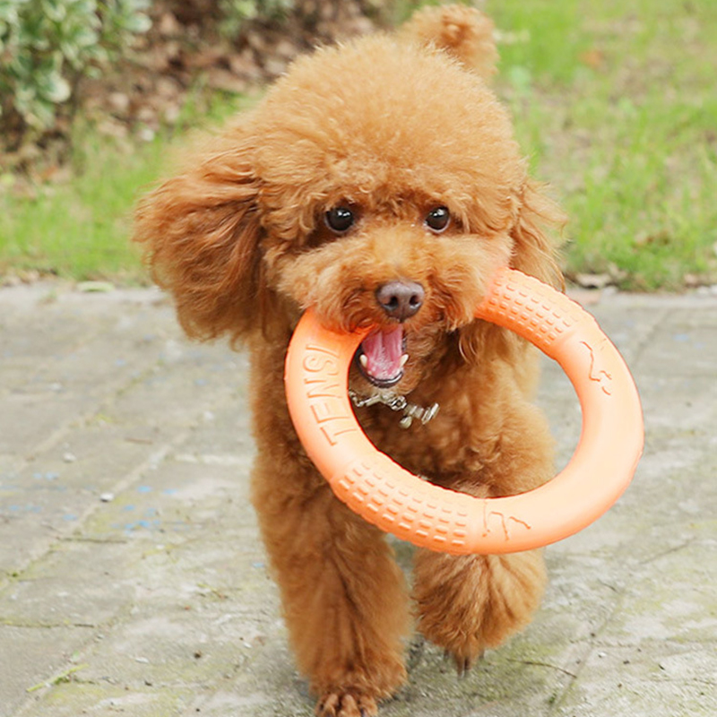 1pc Orange Dog Toys Pet Flying - Suction Cup Dog Tug Toy ulasan dan harga