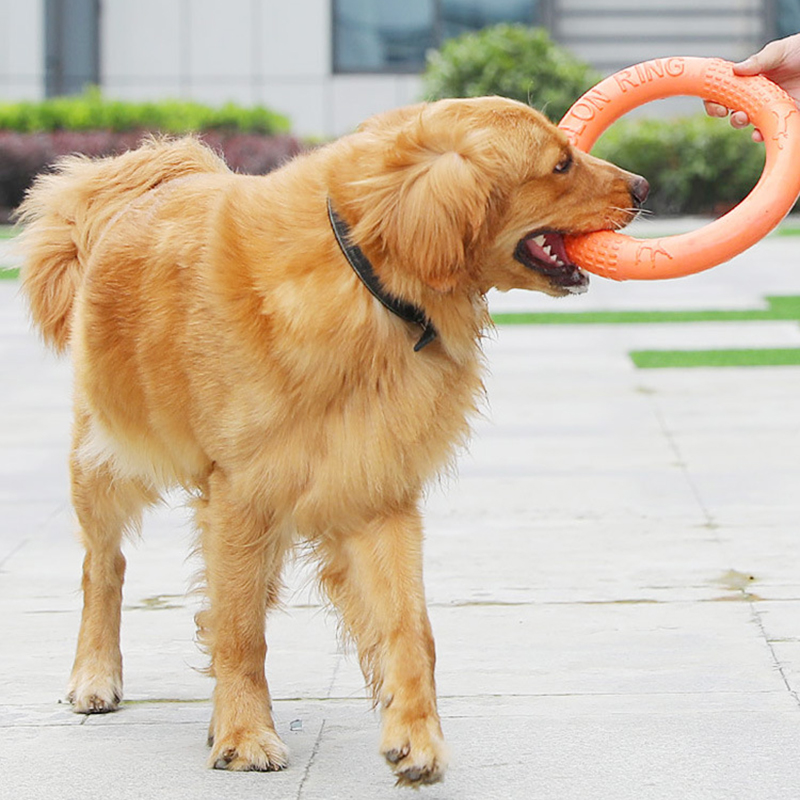 1pc Orange Dog Toys Pet Flying - Suction Cup Dog Tug Toy ulasan dan harga