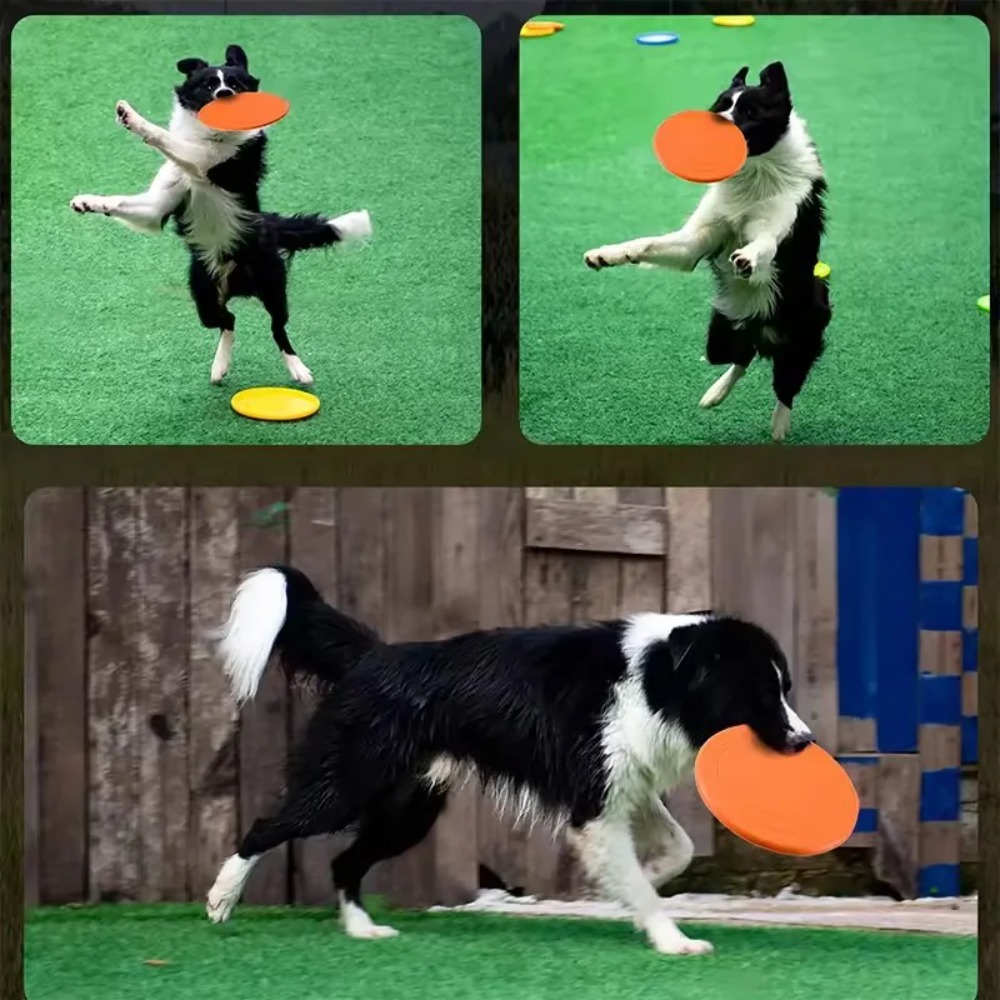 Dog Flying Disc TPR Pet Toy In - Flying Disc Dog Training Toy ulasan dan harga