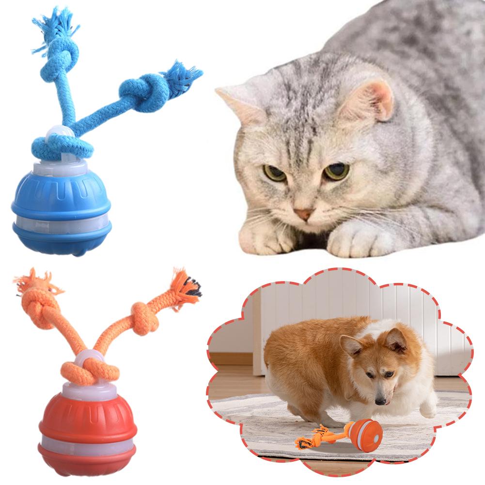 Smart Rechargeable Dog Ball In - Automatic Moving Dog Ball ulasan dan harga