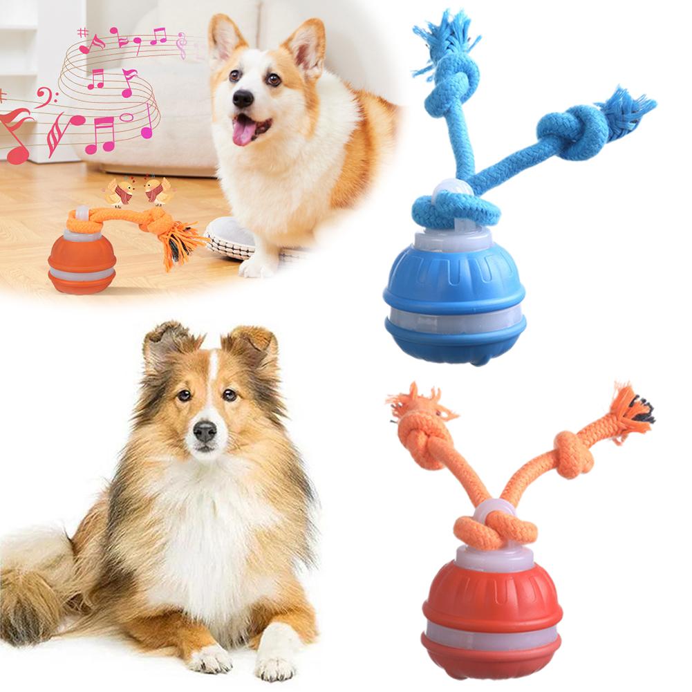 Smart Rechargeable Dog Ball In - Automatic Moving Dog Ball ulasan dan harga