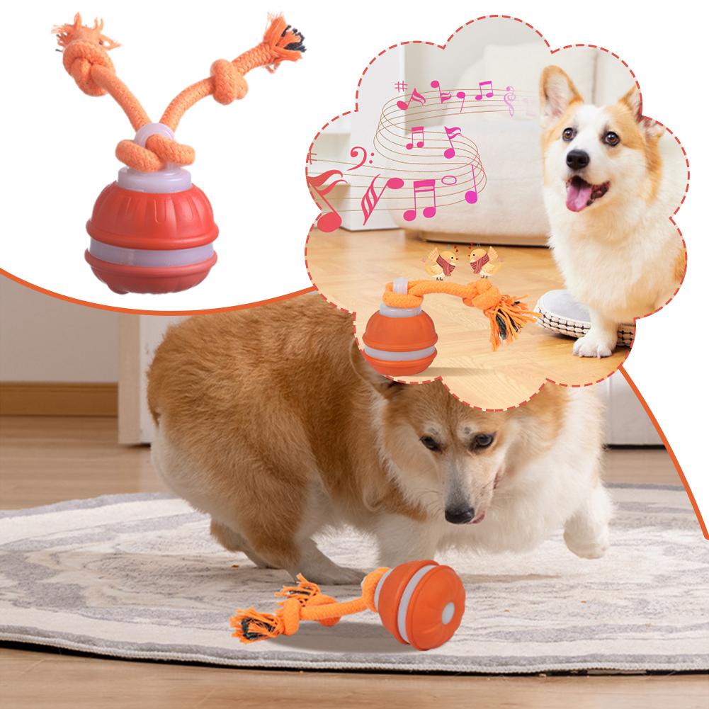 Smart Rechargeable Dog Ball In - Automatic Moving Dog Ball ulasan dan harga