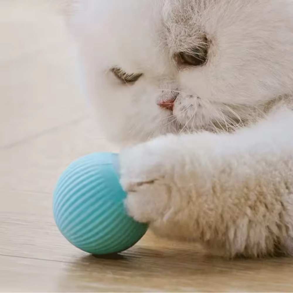 Automatic Moving Ball for Dog  - Automatic Moving Dog Ball ulasan dan harga