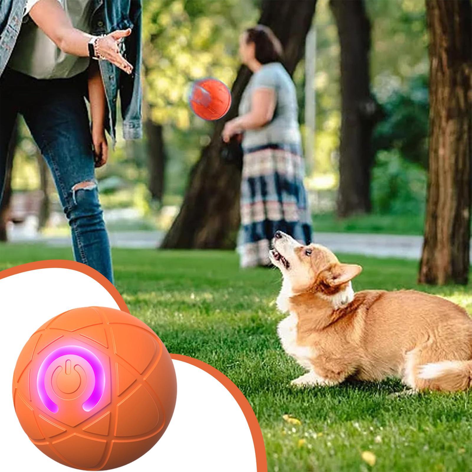 Smart Interactive Dog Toys for - Automatic Moving Dog Ball ulasan dan harga