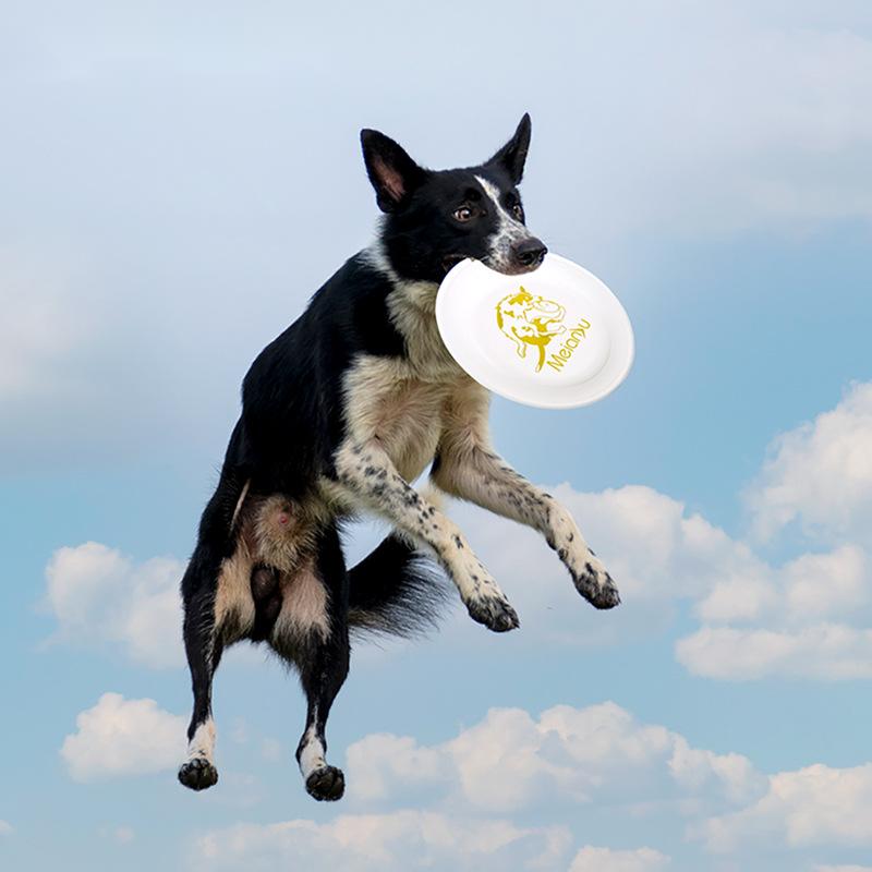 OUZEY Bite Resistant Pet Train - Flying Disc Dog Training Toy ulasan dan harga