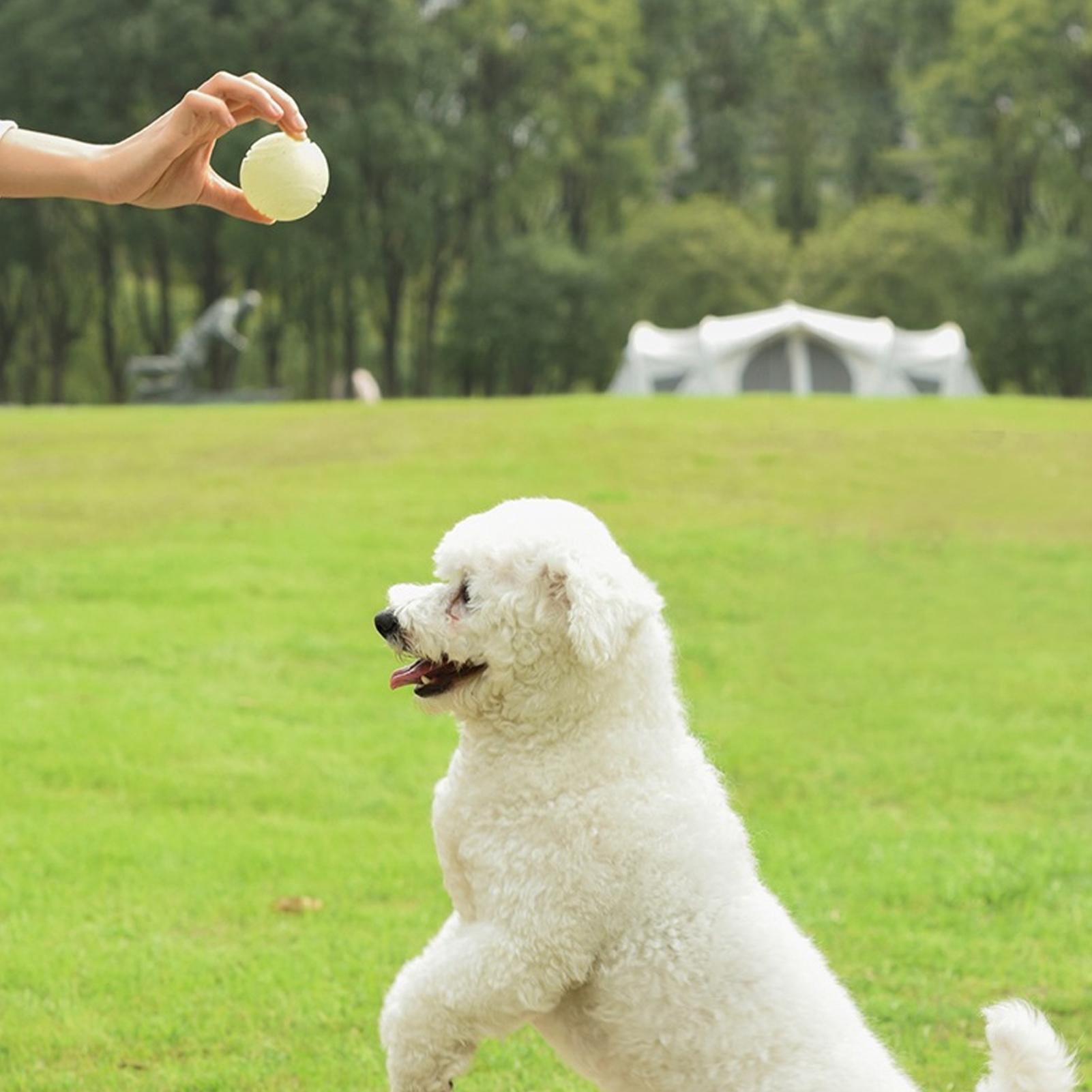 Dog Toy Balls Glow-in-the-Dark - Dog Rope Toy Aggressive Chewers ulasan dan harga