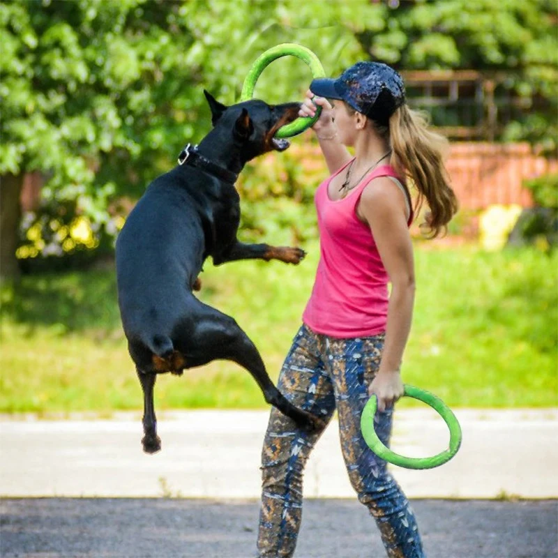Dog Toys Pet Flying Discs EVA  - Flying Disc Dog Training Toy ulasan dan harga