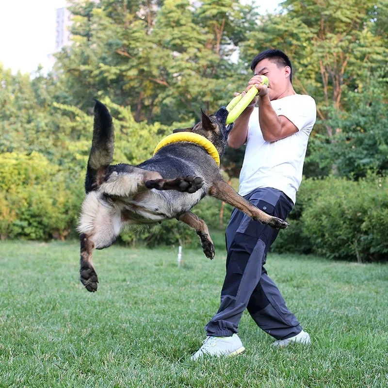 Dog Toys Pet Flying Discs EVA  - Flying Disc Dog Training Toy ulasan dan harga