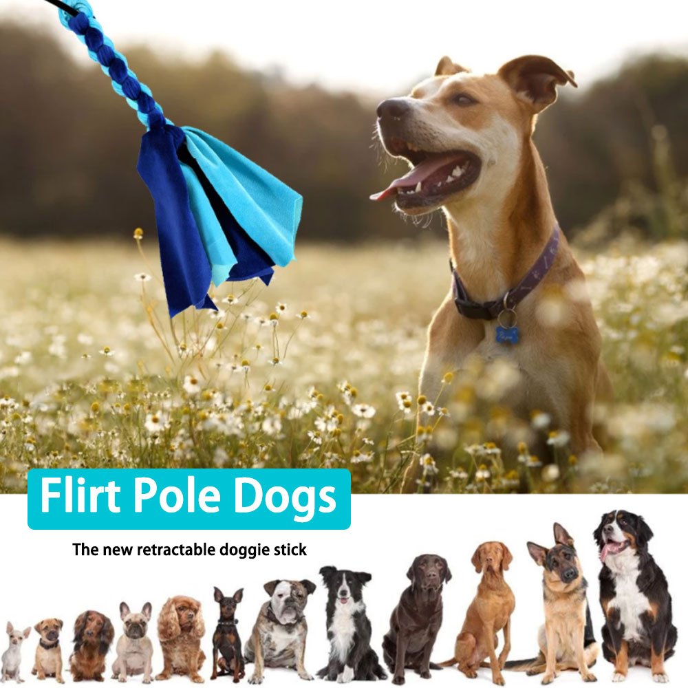 Retractable Dog Stick Interact - Indestructible Dog Chew Toy ulasan dan harga