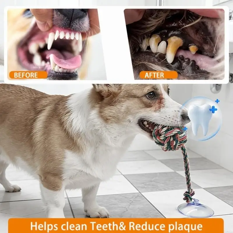 Interactive Dog Chewing Toy Tu - Suction Cup Dog Tug Toy ulasan dan harga