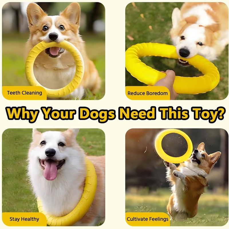 Dog Toys Pet Flying Discs EVA  - Suction Cup Dog Tug Toy ulasan dan harga