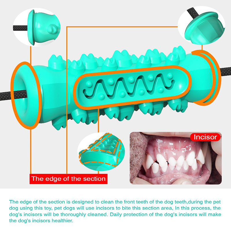 Dual Suction Cup Dog Chew Tug  - Suction Cup Dog Tug Toy ulasan dan harga