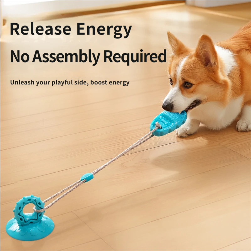 Suction Cup Dog Tug Toy Intera - Suction Cup Dog Tug Toy ulasan dan harga