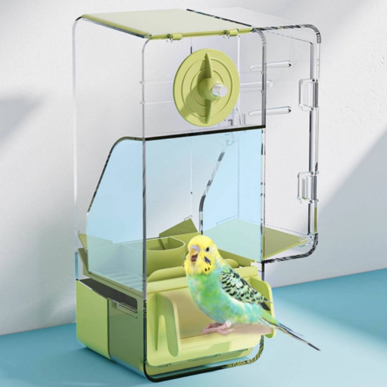 Seed Separating Feeder Splash- - Pet Feeders ulasan dan harga