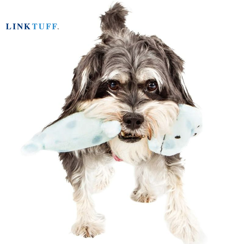 Linktuff Pet Dog Squeaky Train - Suction Cup Dog Tug Toy ulasan dan harga
