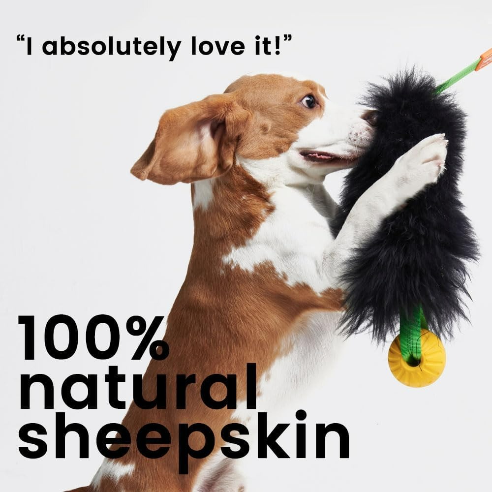 Dog Rope Toy Interactive Dog B - Indestructible Dog Chew Toy ulasan dan harga