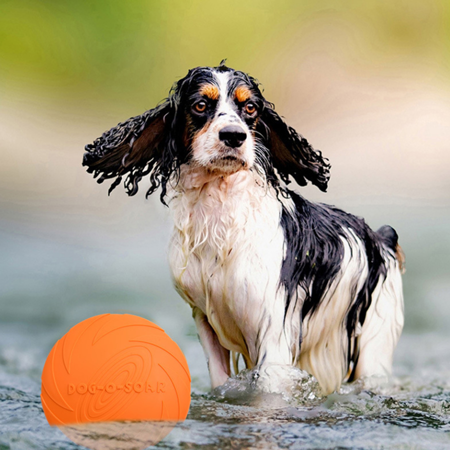 Large Dog Golden Fur Pet Flyin - Flying Disc Dog Training Toy ulasan dan harga