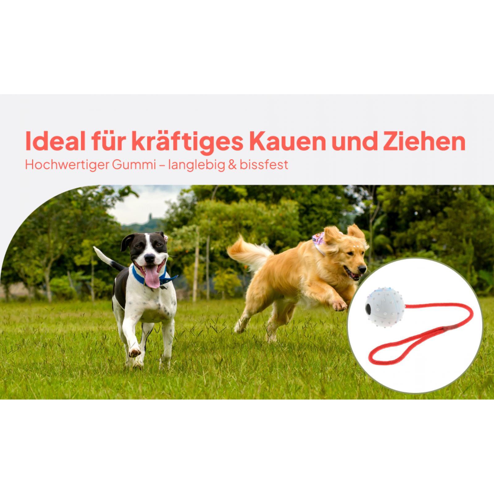 Pet Training Toy Soft Rubber C - Rubber Treat Dispensing Dog Toy ulasan dan harga